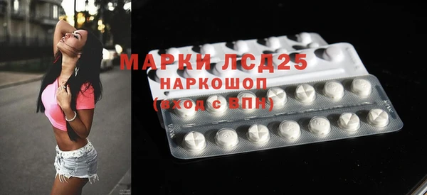 индика Армянск