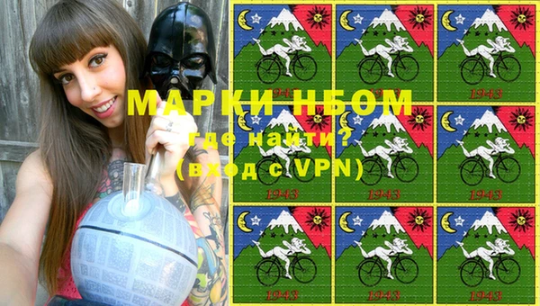 индика Армянск