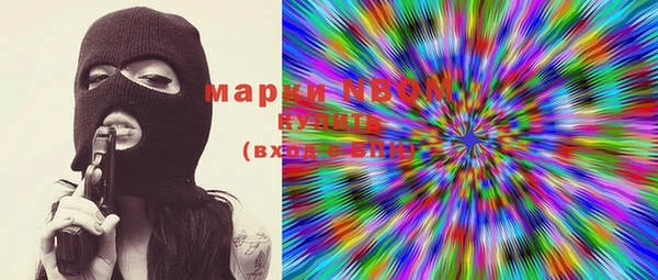 индика Армянск
