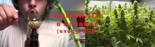 индика Армянск