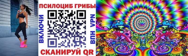 Галлюциногенные грибы Psilocybe  купить   KRAKEN сайт  Салаир 